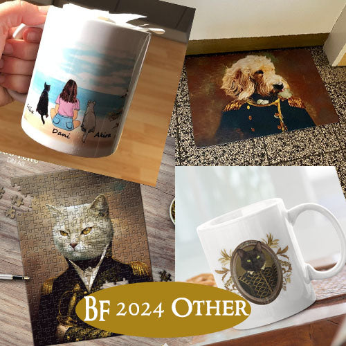 BF 2024 Other