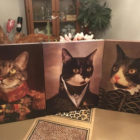 Alle männlichen Haustier Portraits von Nobelpfoten