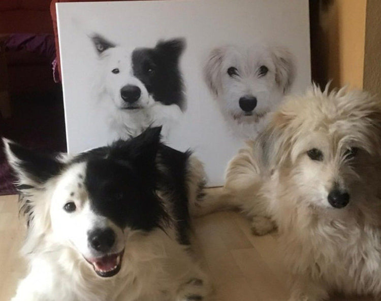 Haustier Kunst für mehrere Haustiere