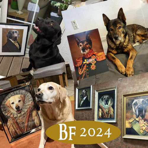 BF 2024