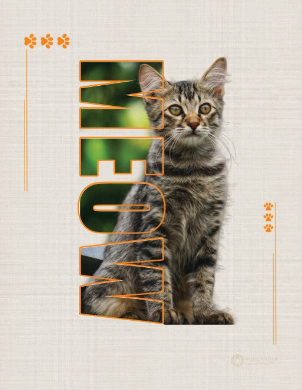 Plantilla de póster de nuevo diseño en impresión de calidad de 250 g.