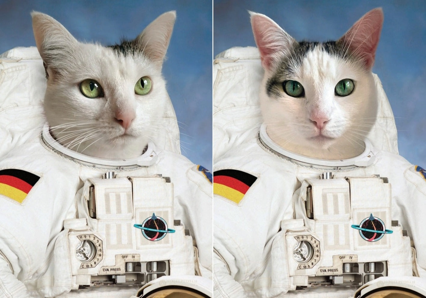 Der Astronaut - Portät auf Leinwand und Holzrahmen