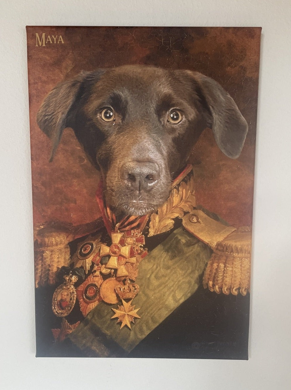 El Coronel - retrato sobre lienzo y marco de madera