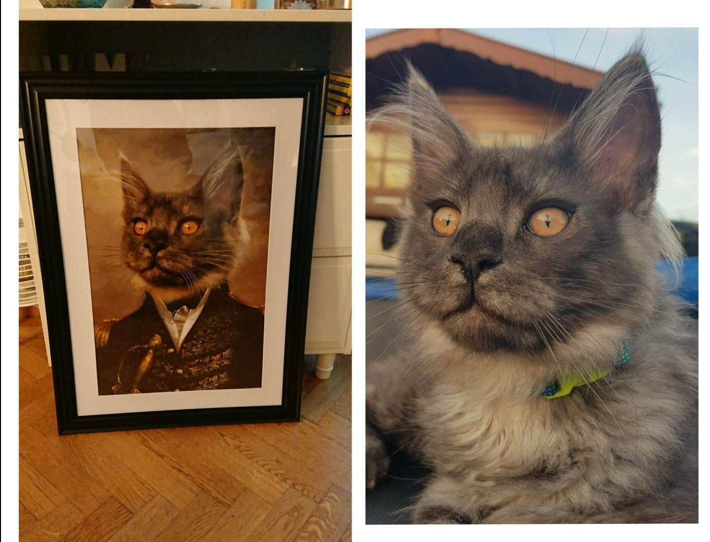 Der Offizier -  Poster auf 250g Qualitätsdruck