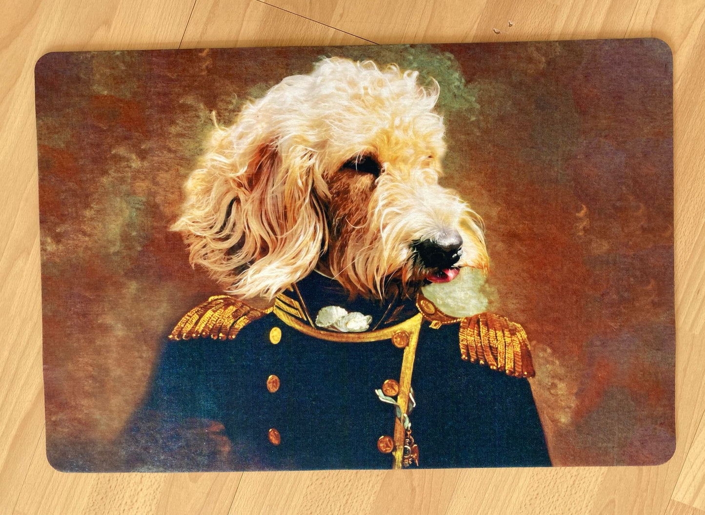 Personalisierte Fußmatte (Hund und Katze)