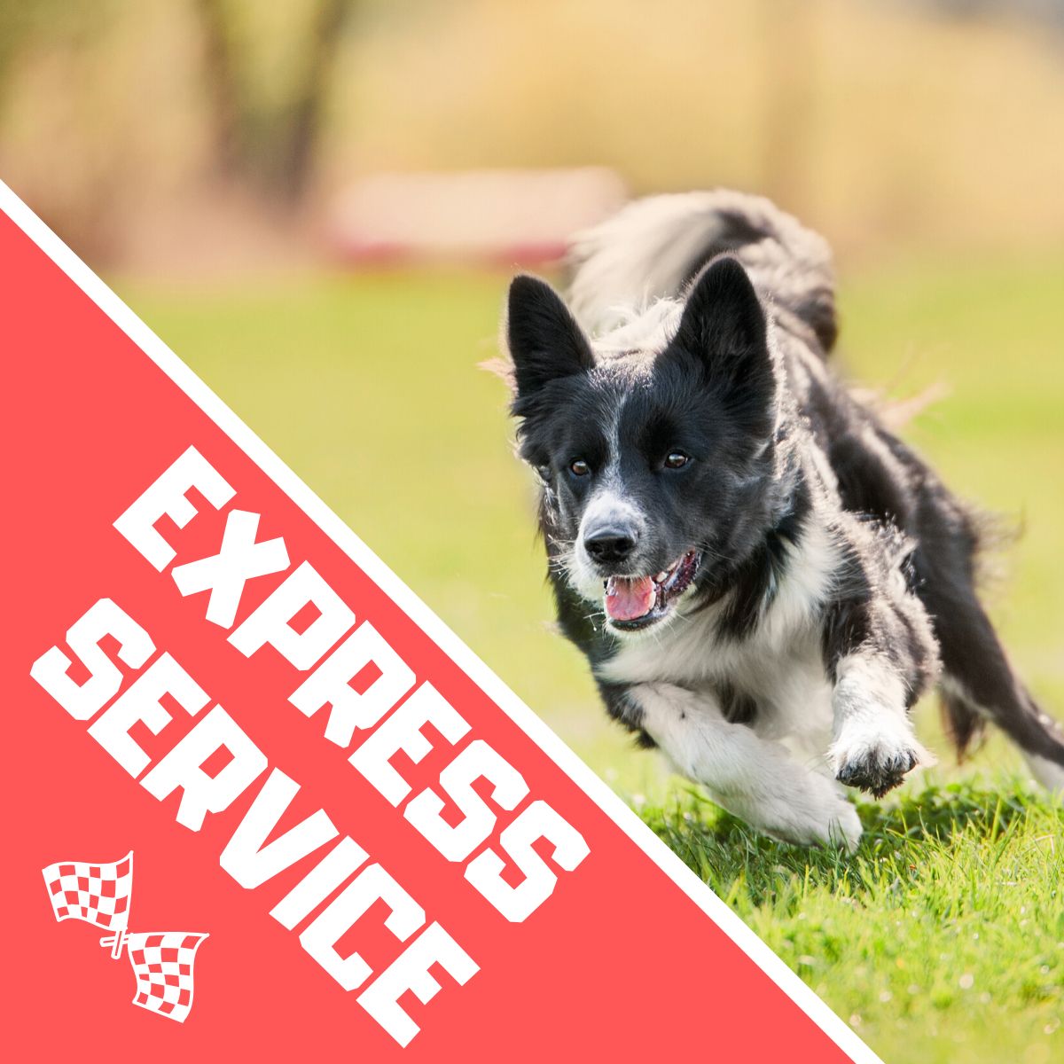 Express Service - Dein Gemälde wird sofort erstellt