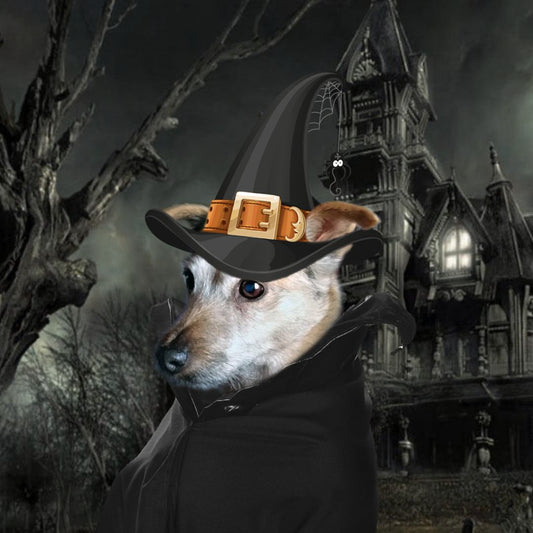 individuelle Haustierkunst zu Halloween