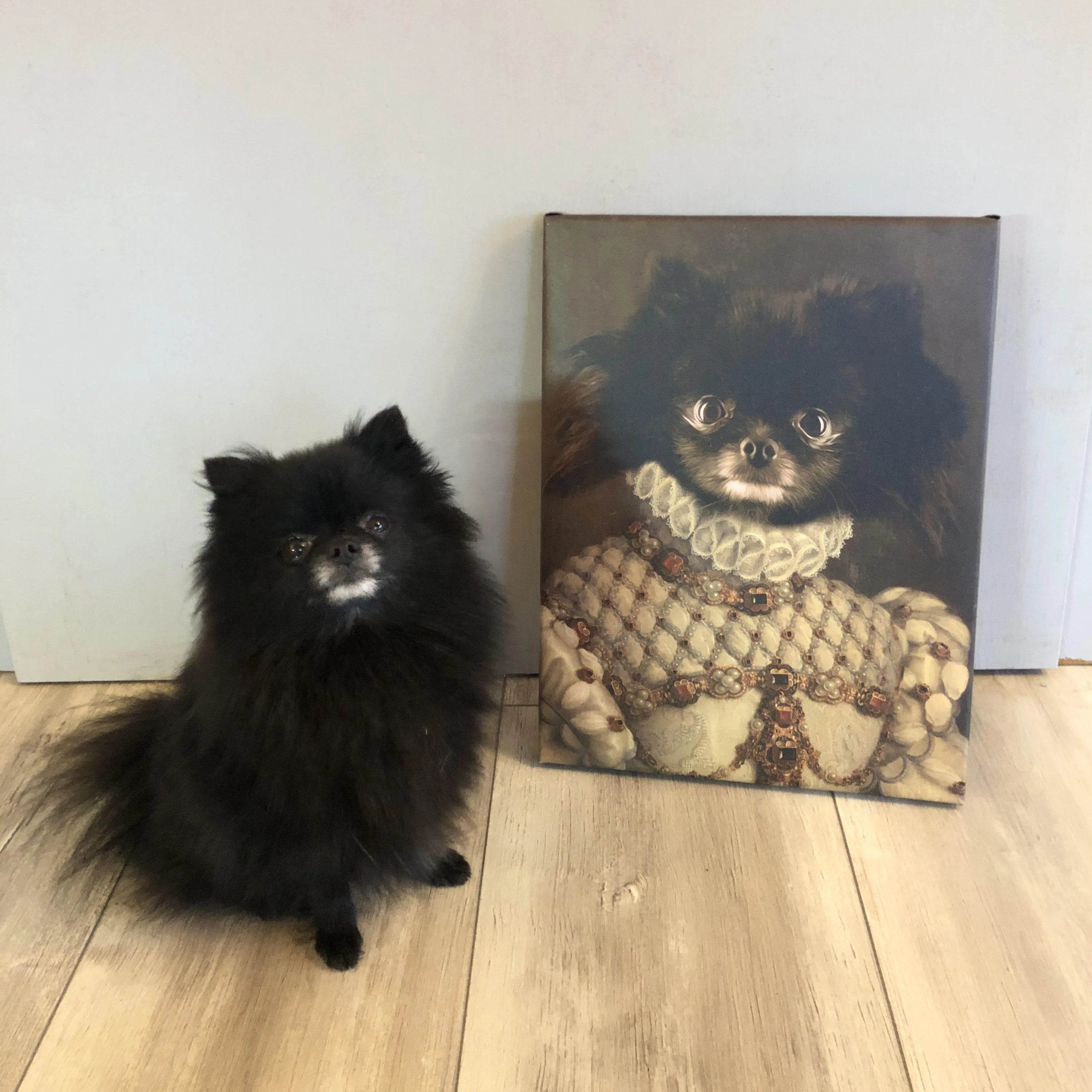 Portrait von deinem Haustier - und Katzenportrait – Hundeportrait Nobelpfoten