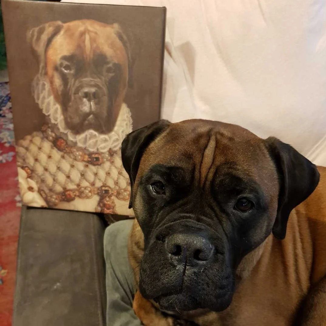 Porträt von einem Boxer Hund