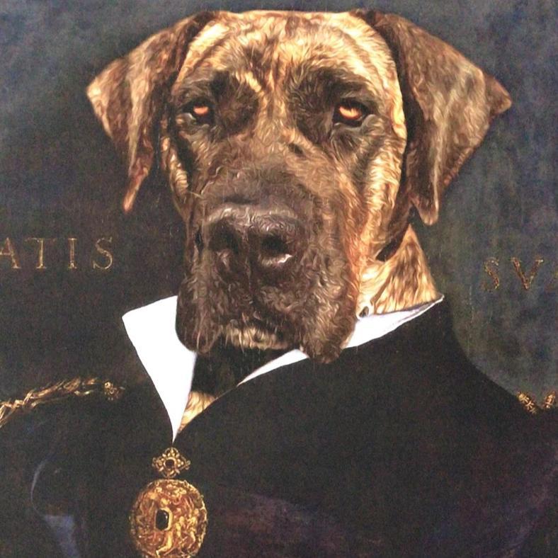 Portrait eines Hundes in Uniform die Königin