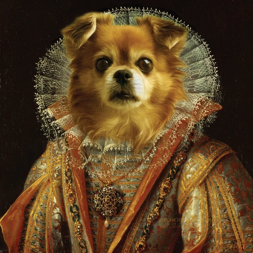 Haustier Portrait Spitz Hund als Prinzessin