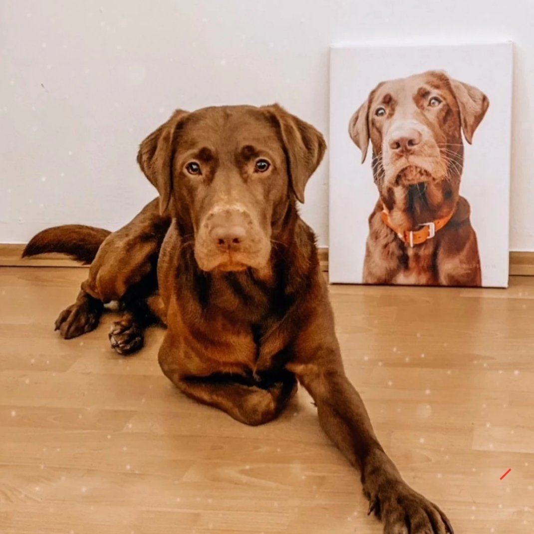 Labrador neben seinem Hunde Portrait
