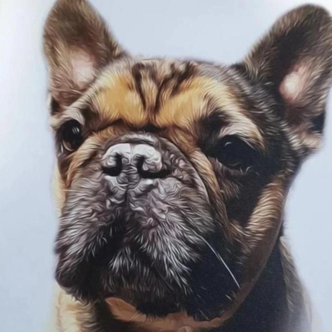 Porträt Hund simpel auf Leinwand
