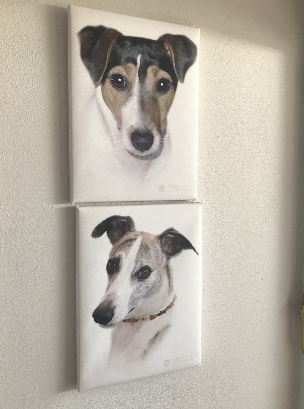Zwei Hundeportraits hängen an der Wand