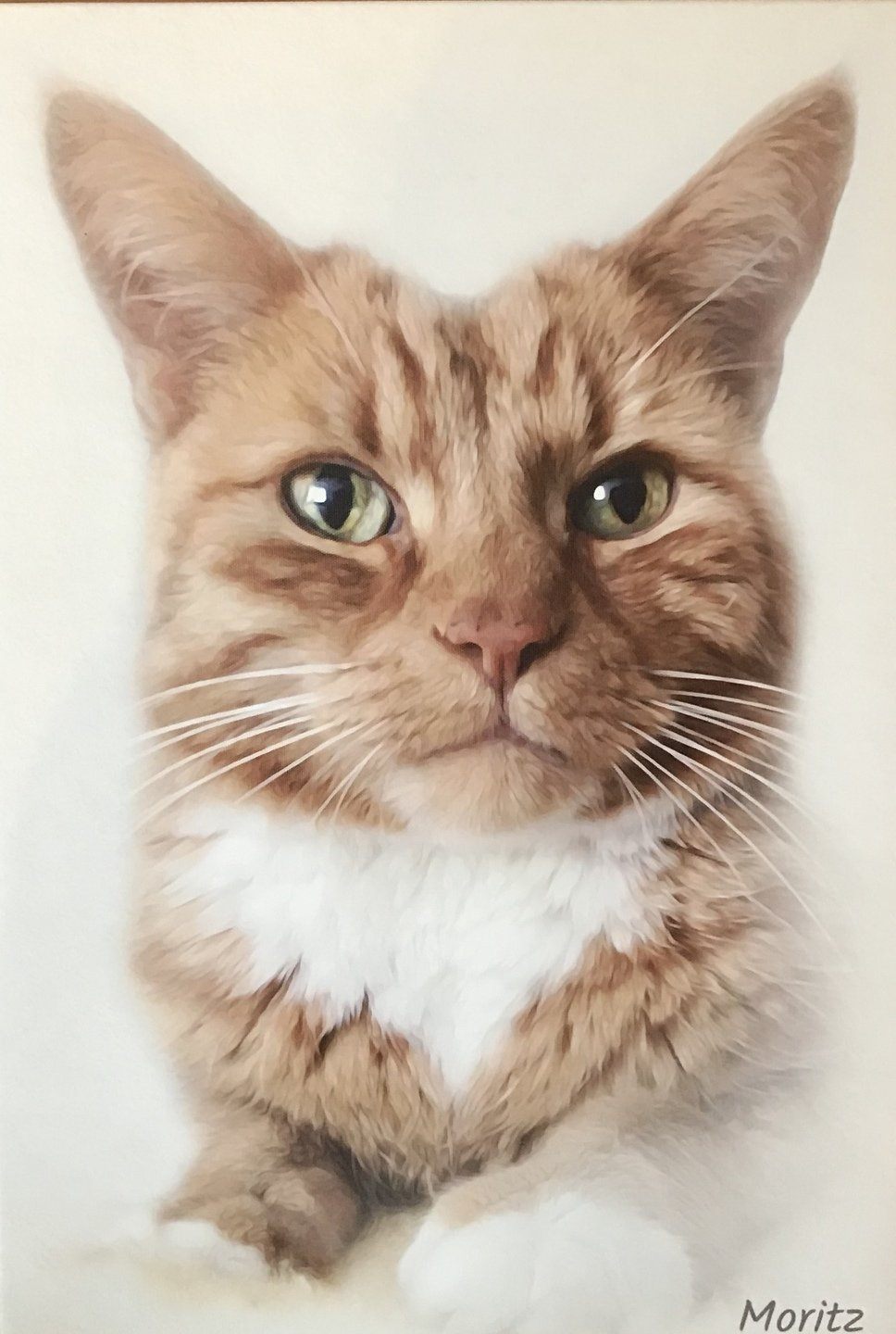 Katze als stilvolles Portait