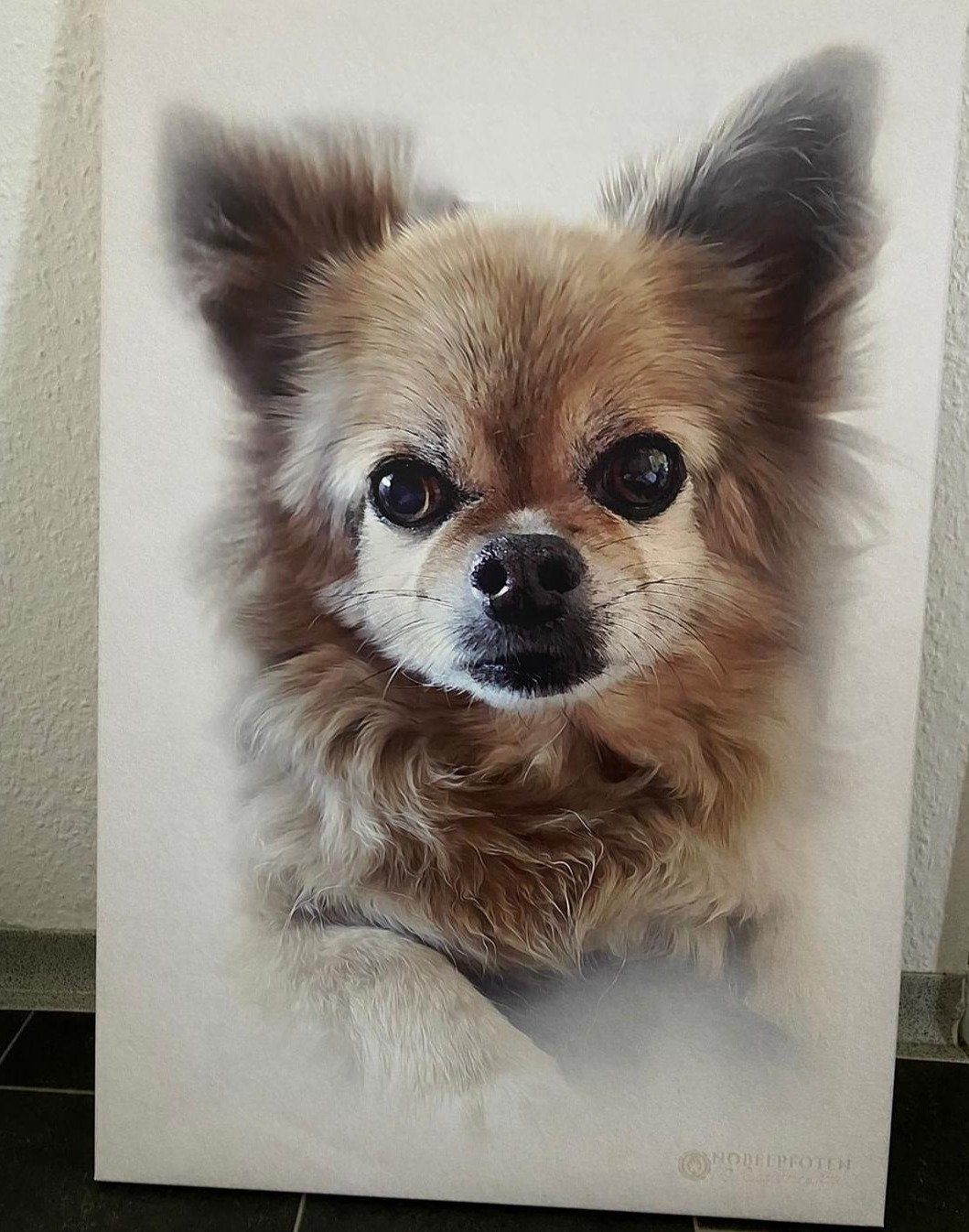 Süßer kleiner Hund auf Leinwand