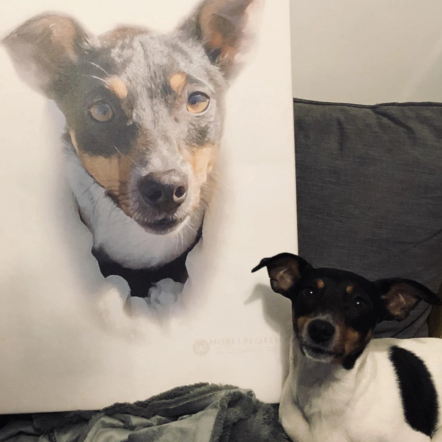Ein kleiner Hund neben seinem Hundeportrait auf Leinwand