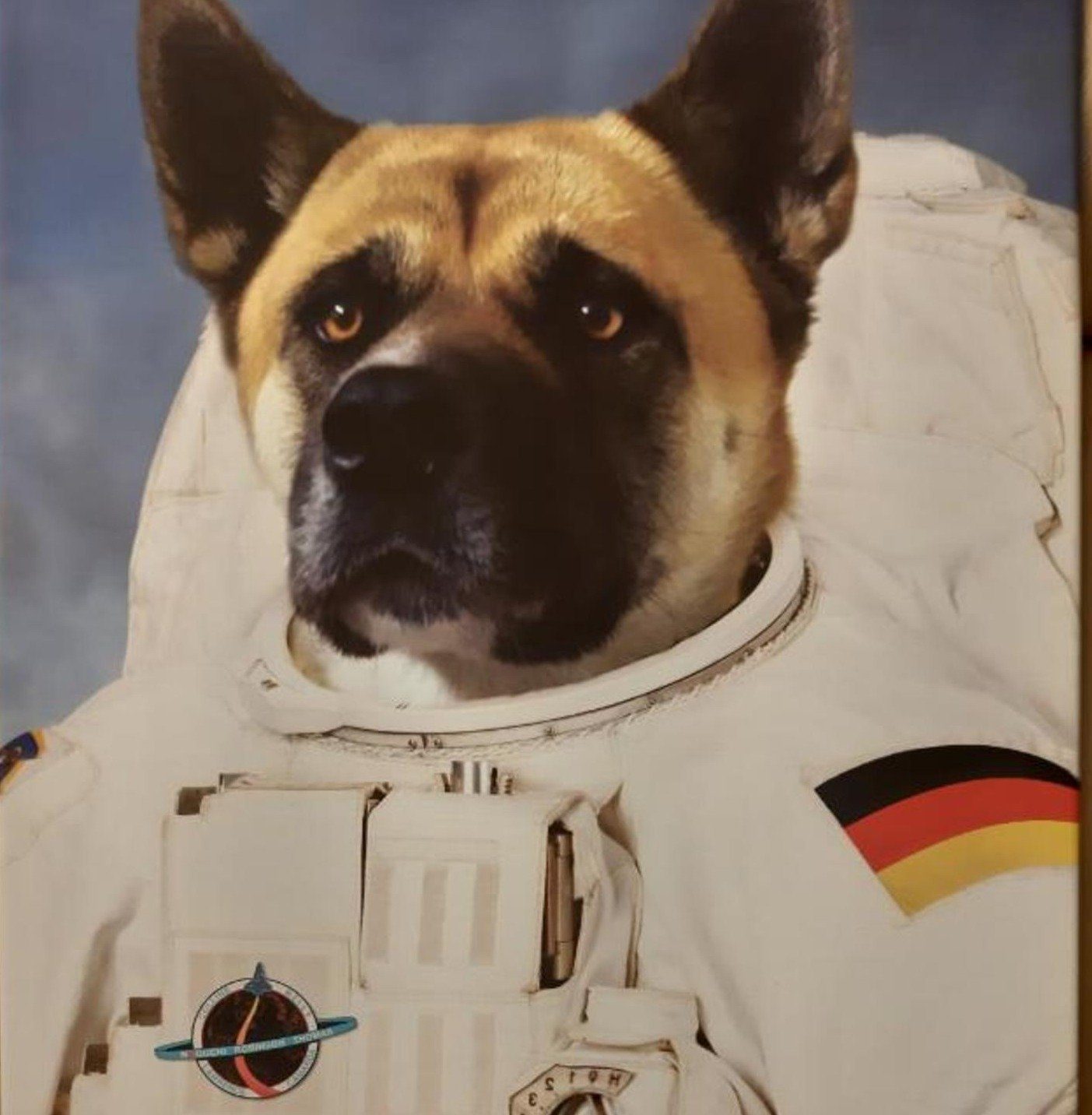 El astronauta - retrato sobre lienzo y marco de madera