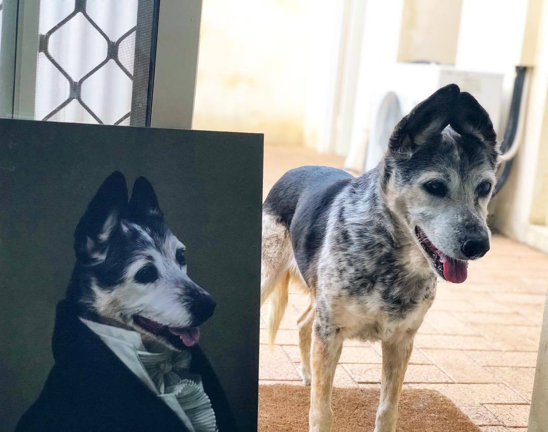 Hund mit lustigen Ohren steht neben seinem Gemälde auf einer Fußmatte