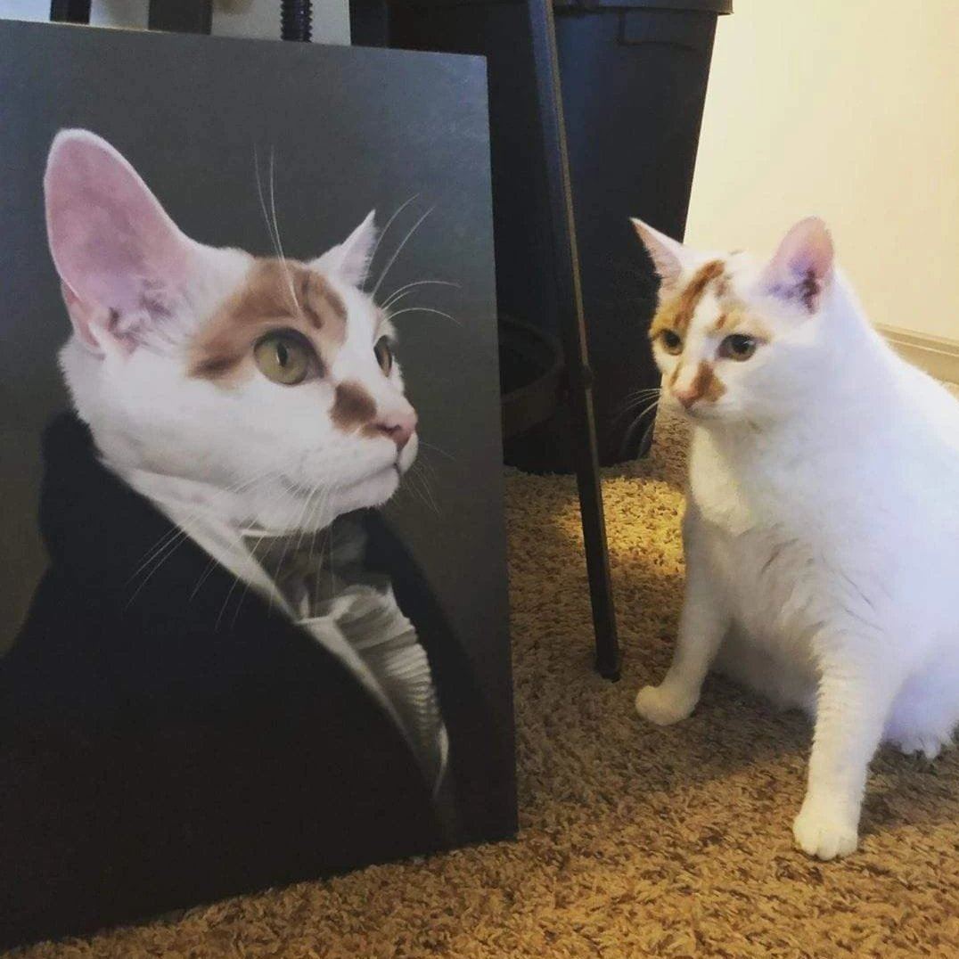 Eine Katze schaut ihr eigenes Portrait an