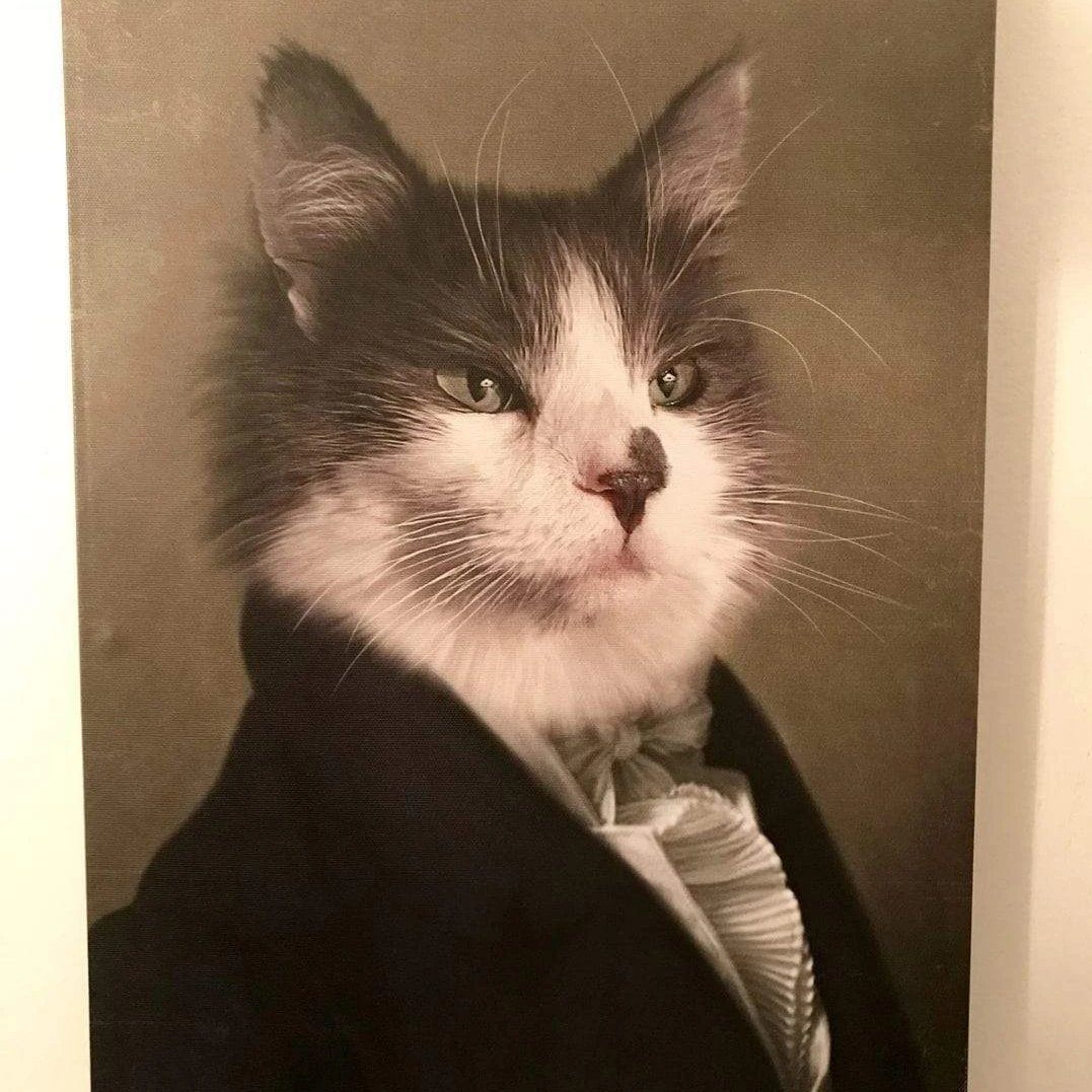 Katze mit viel Fell als Portrait auf Leinwand