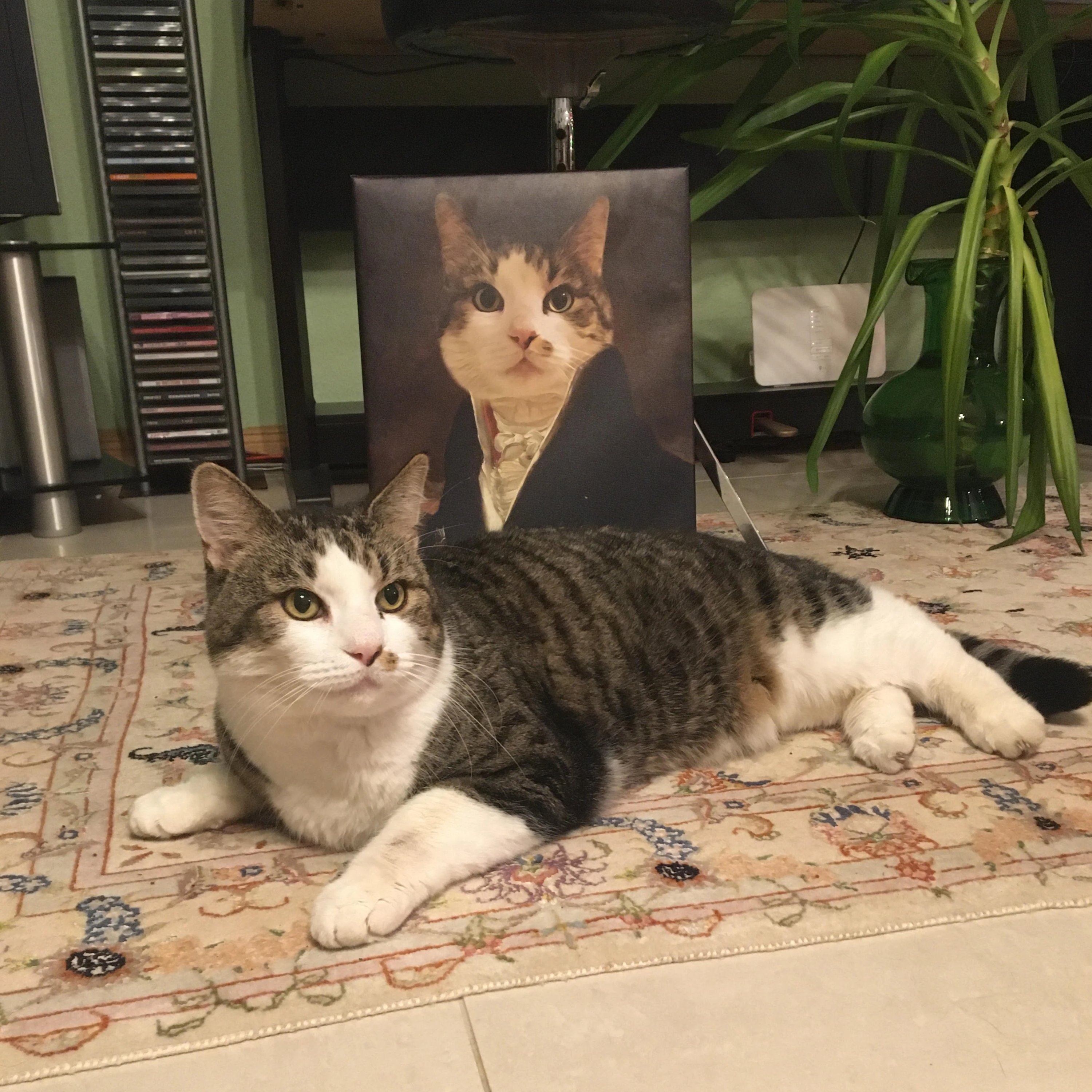Katze liegt vor ihrem eigenen Porträt auf echter Leinwand