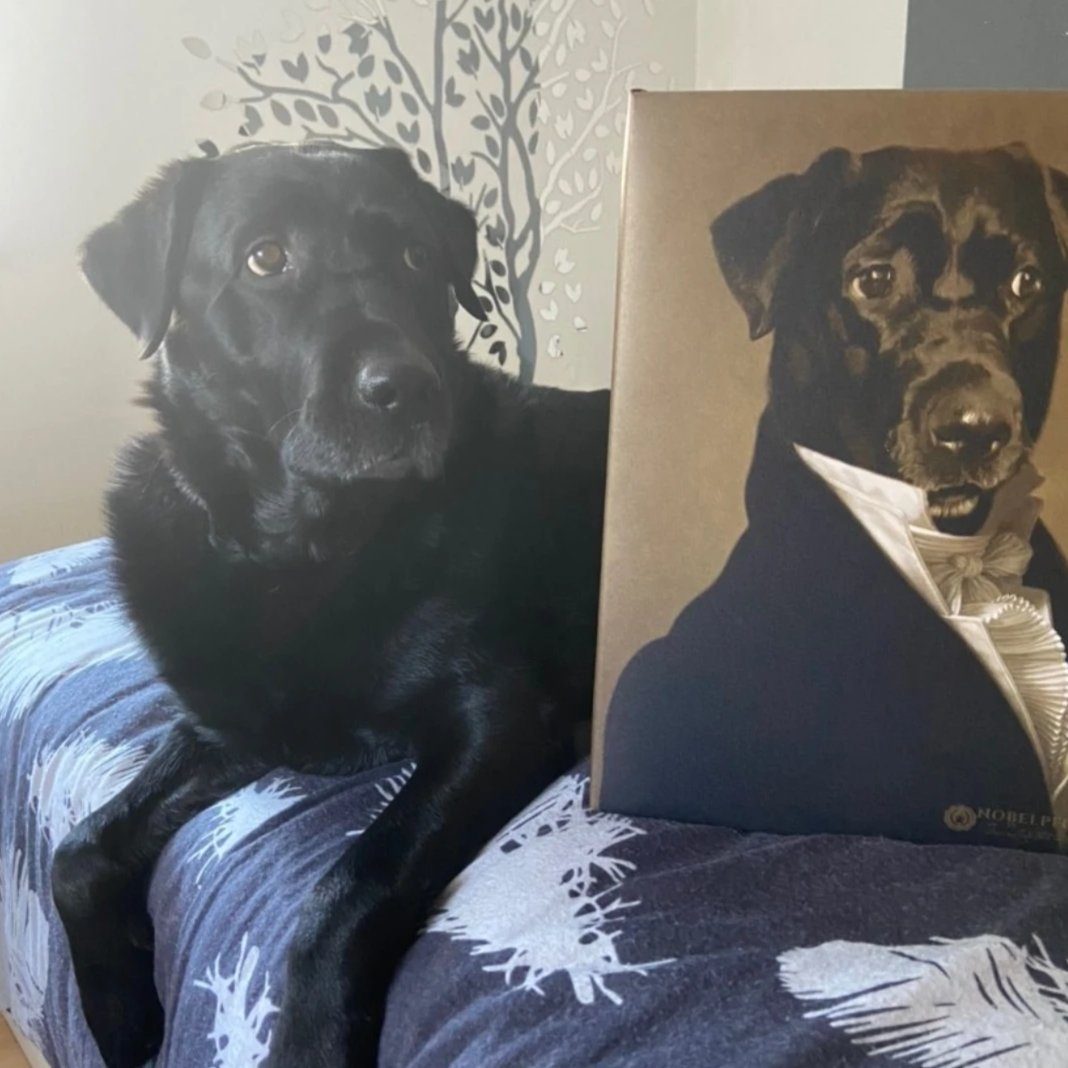 Hund liegt neben seinem Portrait auf einem Bett