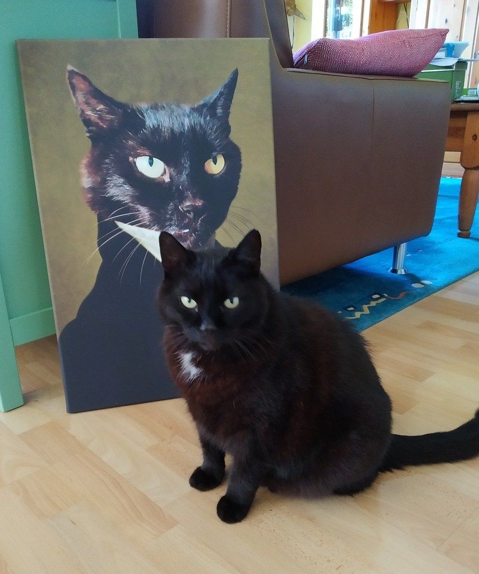 Schwarze Katze sitzt vor ihrem Katzen Portrait auf dem Boden