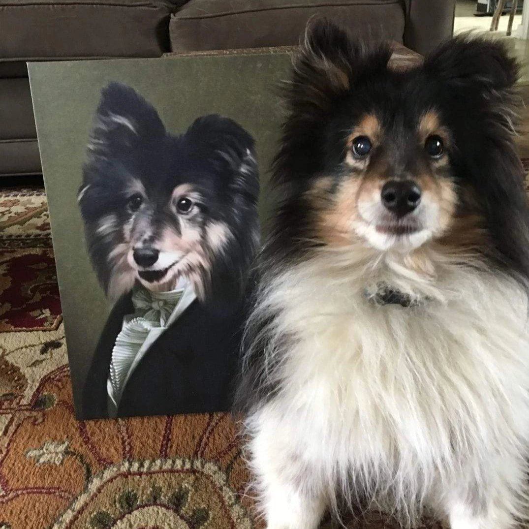 Hund sitzt neben seinem Nobelpfoten Portrait
