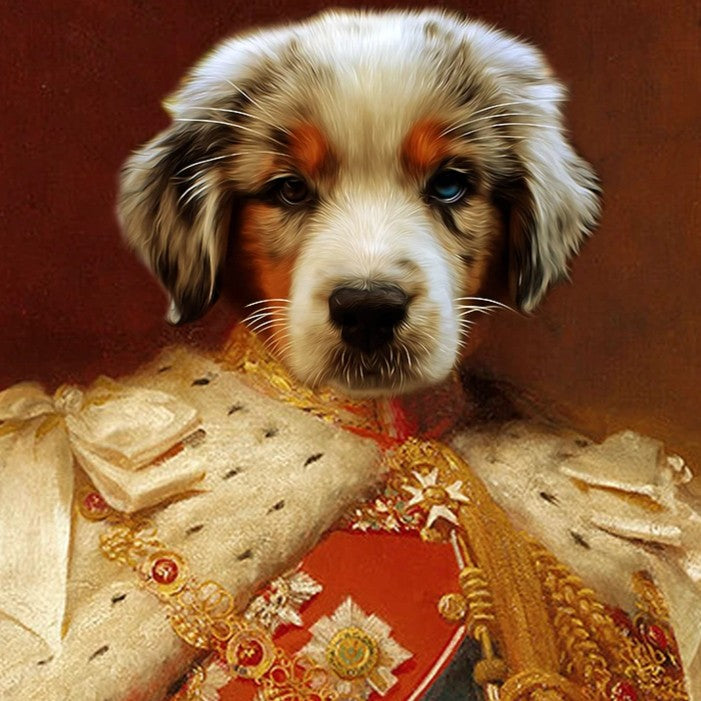 Hund mit blauen Augen als König