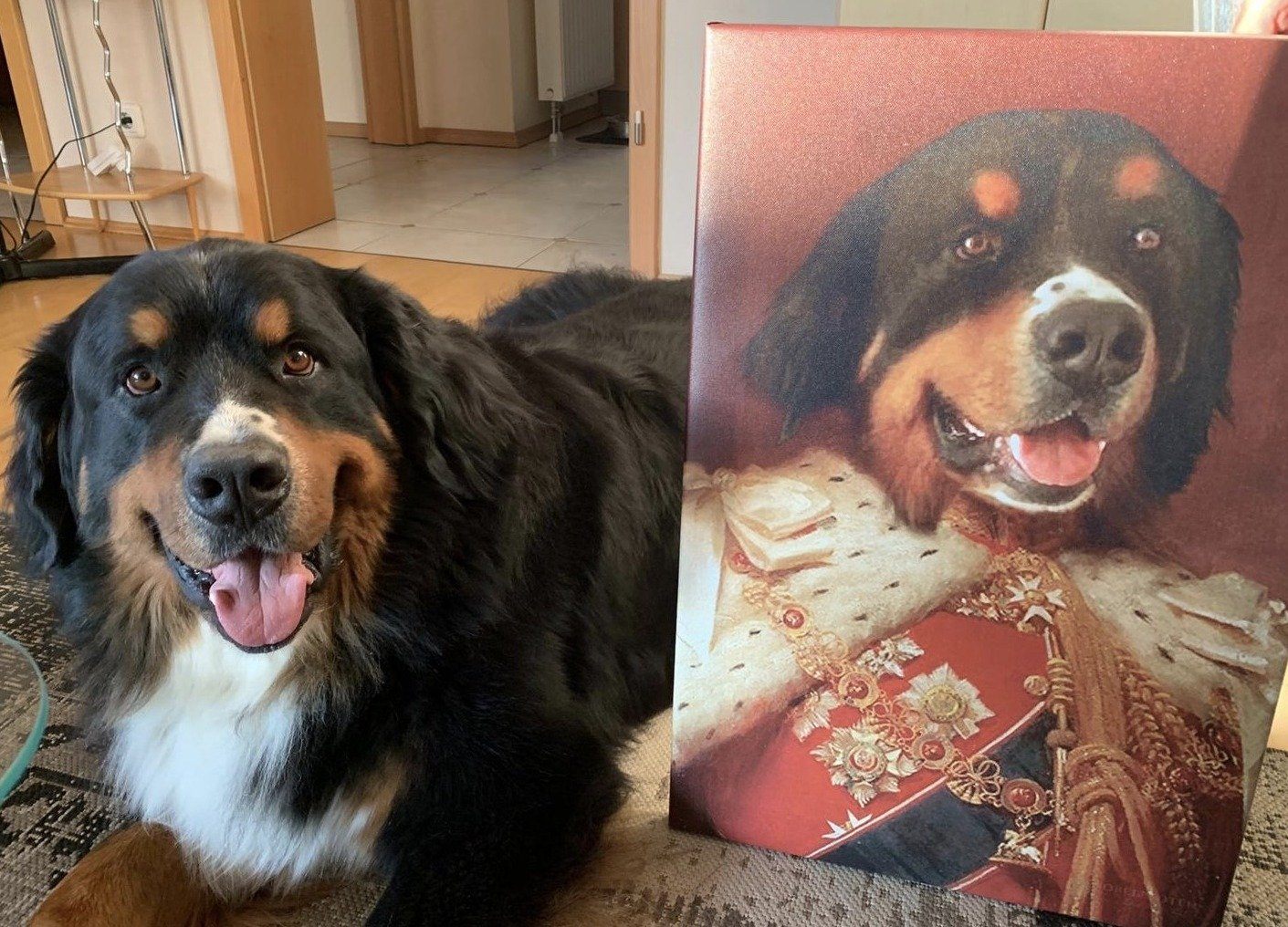 Hund liegt neben einer großen Leinwand auf der er als König zu sehen ist