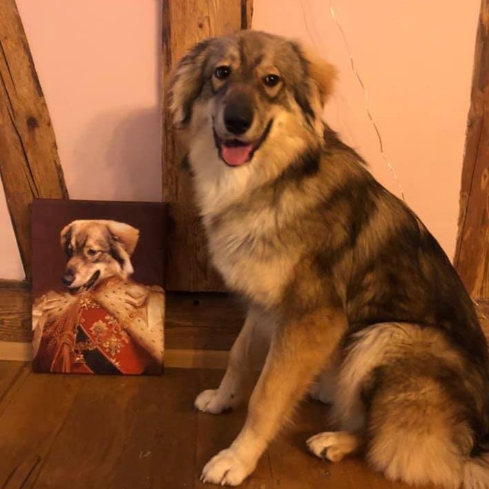 Hund als König Porträt