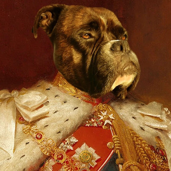 Haustier Portrait König Hund in Uniform