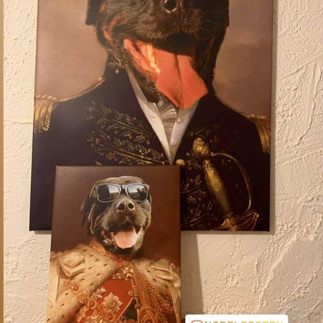 Haustier Portrait der König Nobels Tierporträt Adeliger Hund
