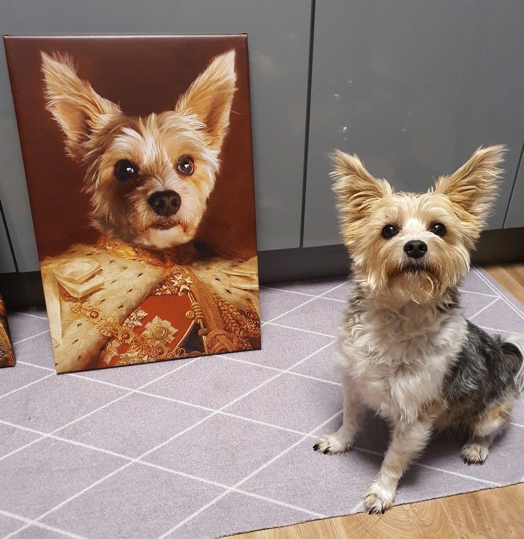Kleiner Hund neben seinem Haustier Portrait als König