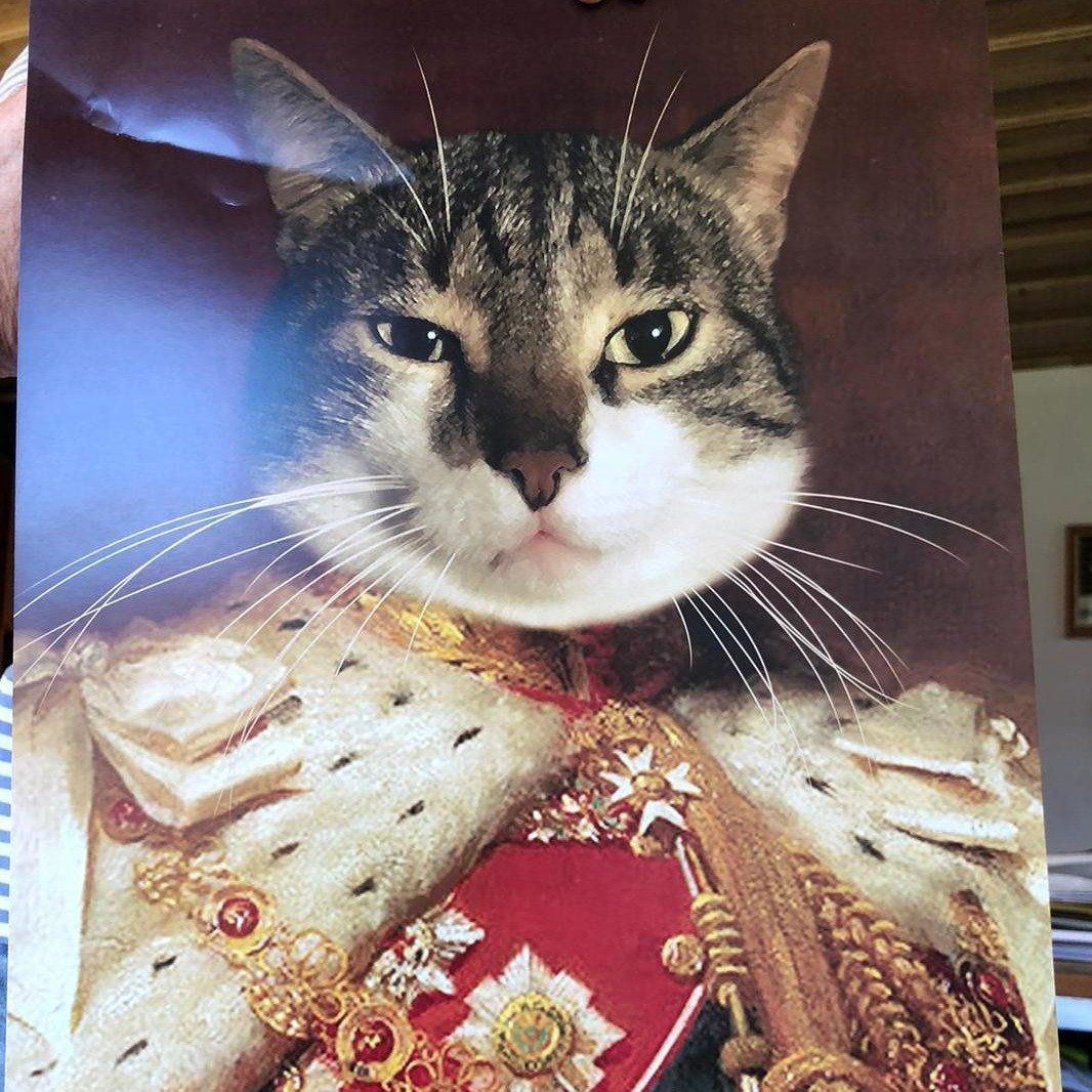 Katze als König Portrait