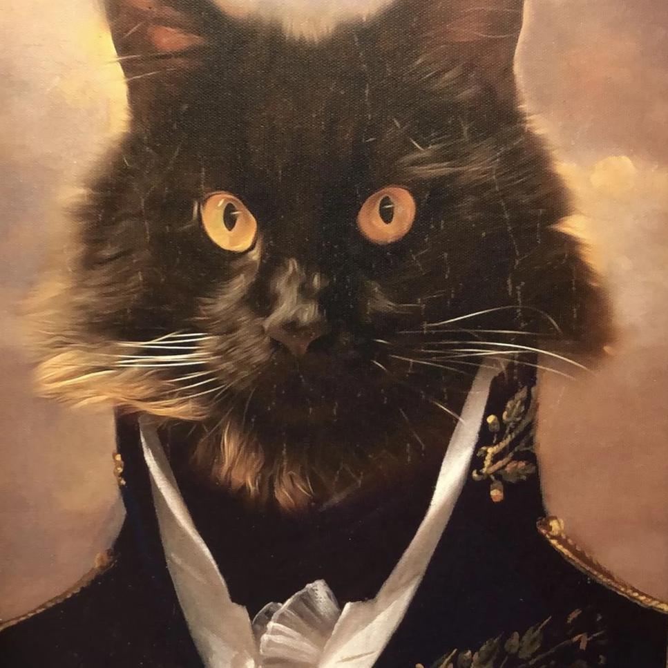 Bild einer Katze in Kleidung Porträt Leinwand
