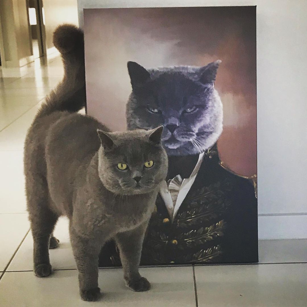 Böse schauende Katze neben ihrem Gemälde auf Leinwand