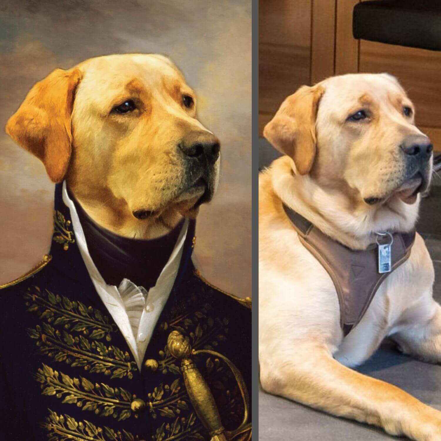 Hundeporträt auf Leinwand dein Hund als Gemälde