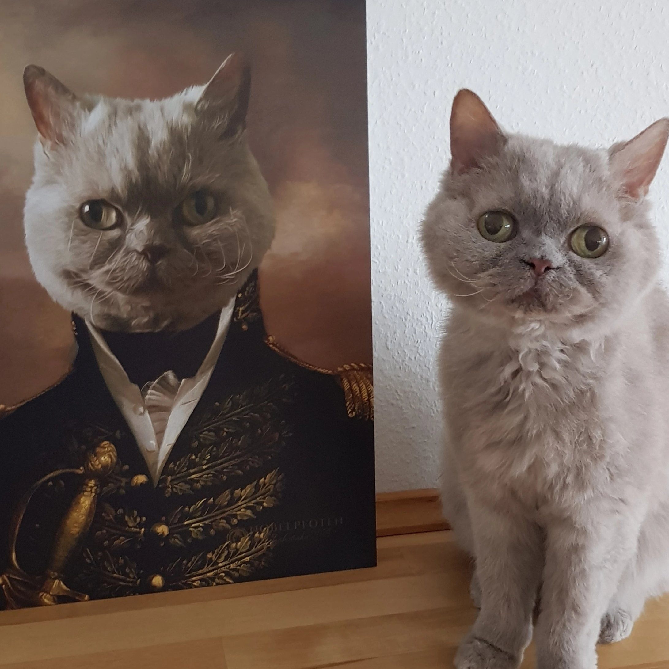 Schielende Katze neben ihrem Gemälde