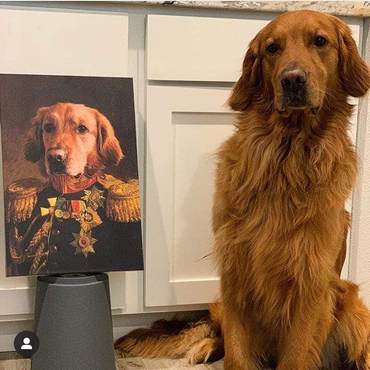 Golden Retriever sitzt stolz neben seinem Haustier Portrait