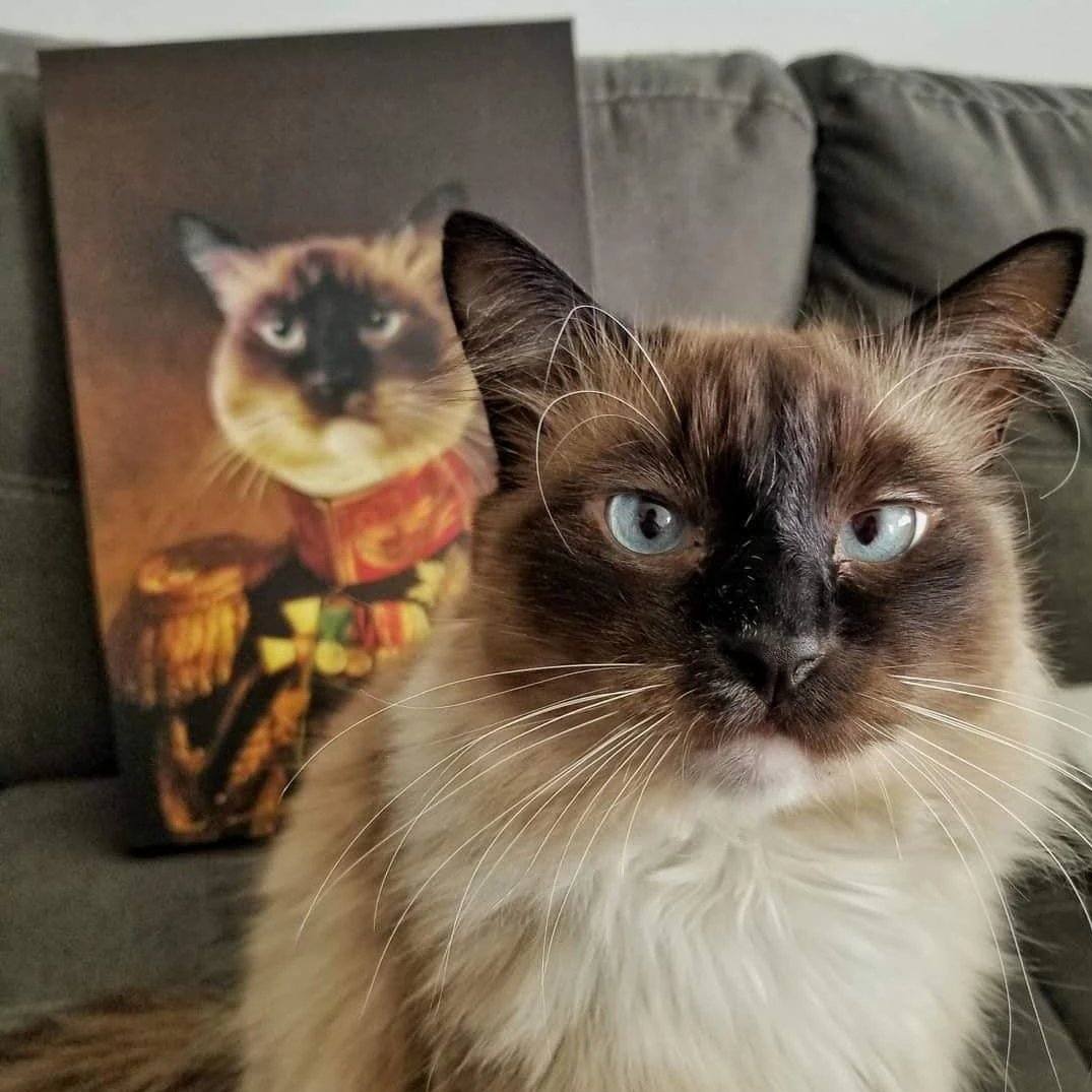 Katze steht vor ihrem Gemälde