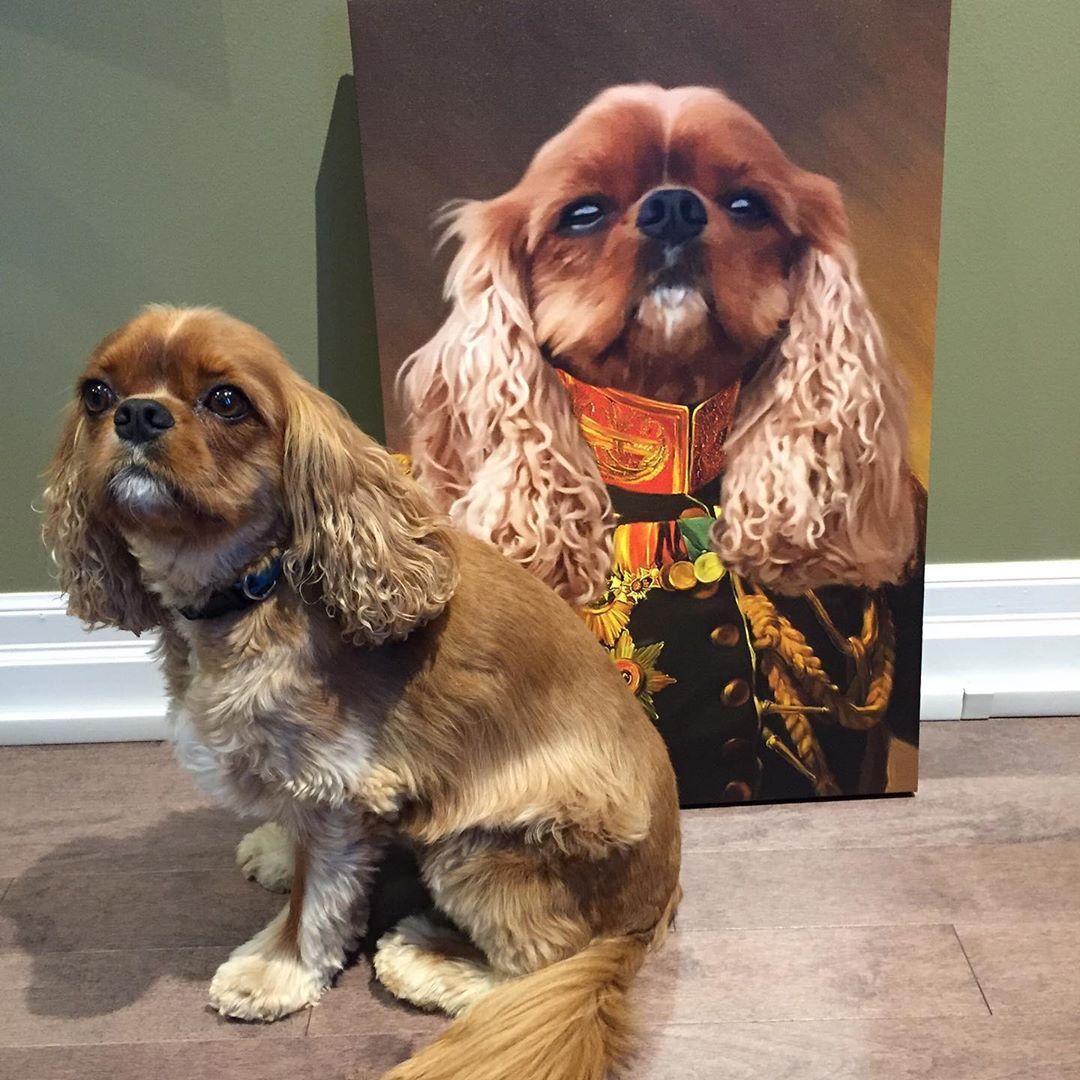 Hund mit langem Fell sitzt vor seinem Hundeportrait in Kleidung