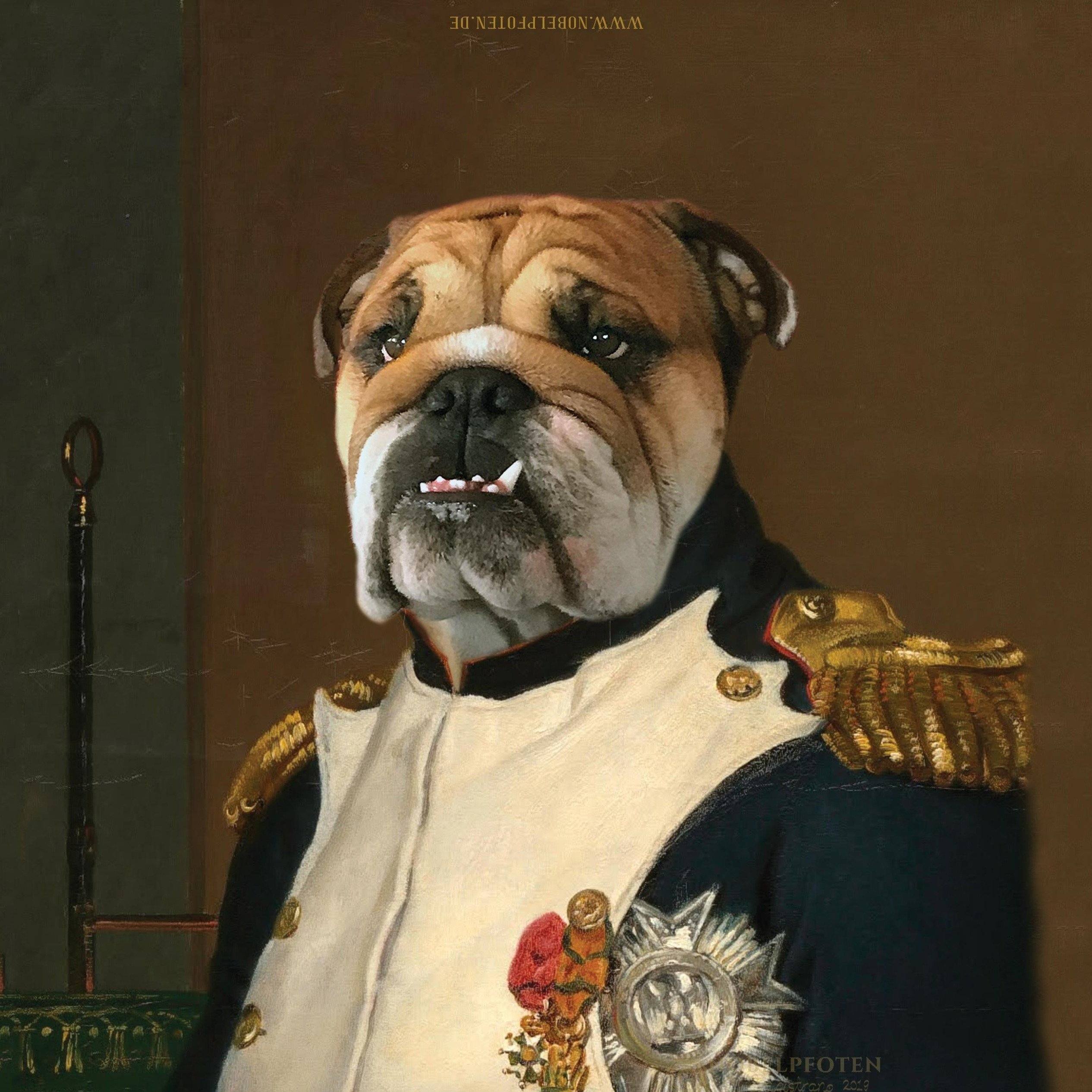 Emperador Napoleón - retrato sobre lienzo y marco de madera