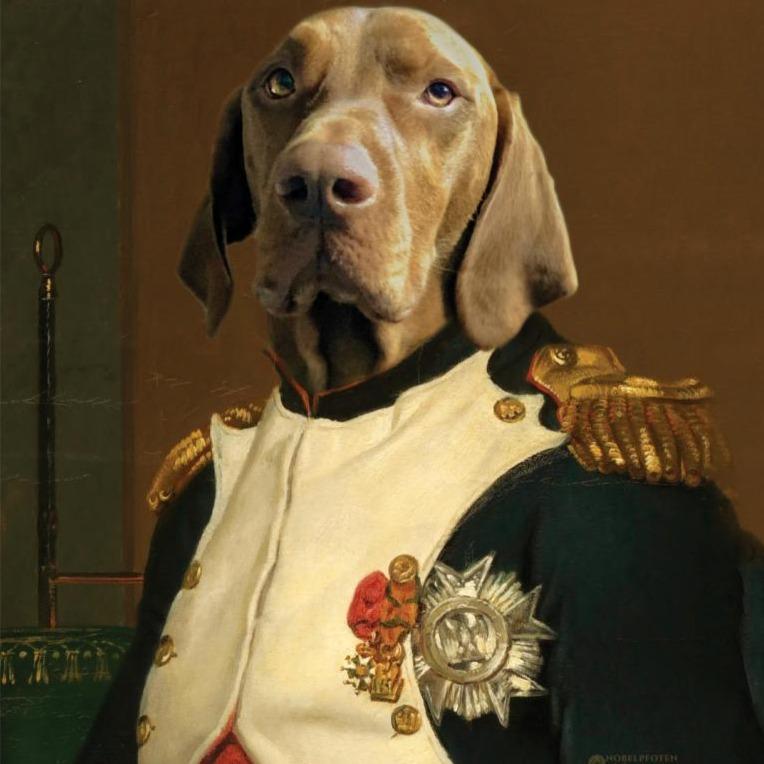 Emperador Napoleón - retrato sobre lienzo y marco de madera