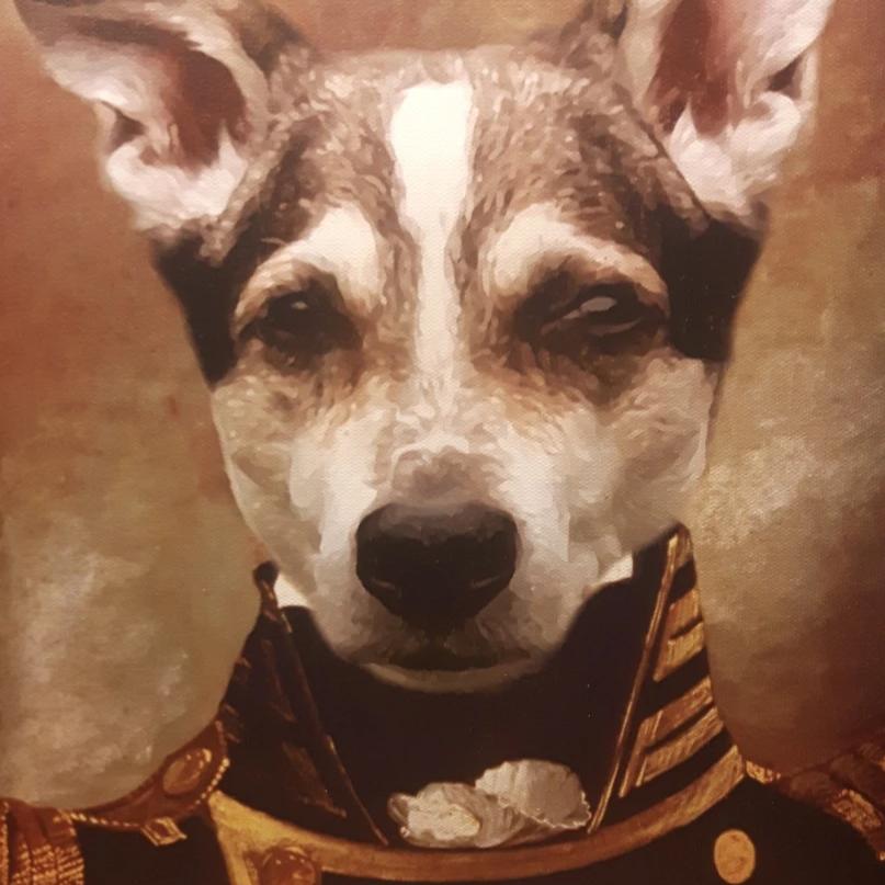 Der Admiral - Porträt auf Leinwand und Holzrahmen