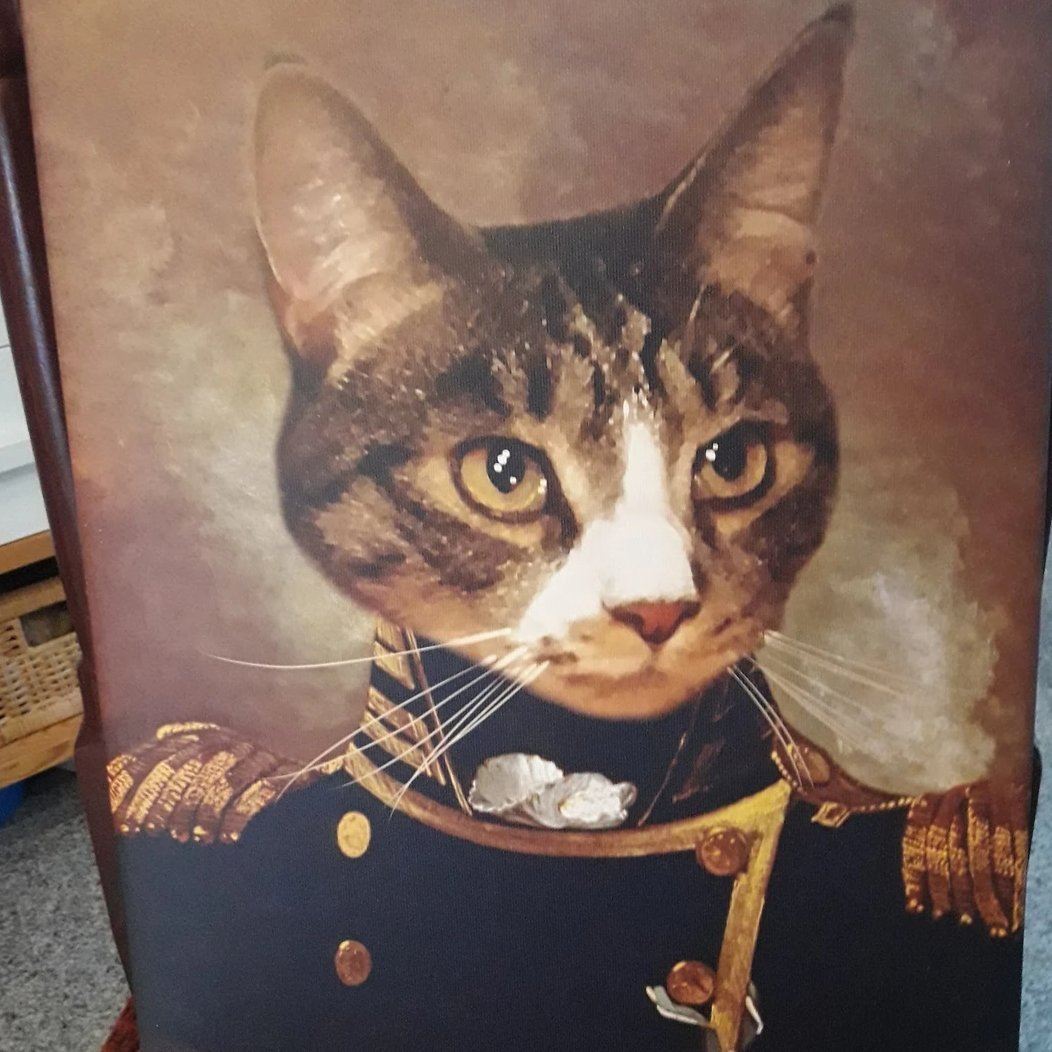 Der Admiral - Porträt auf Leinwand und Holzrahmen