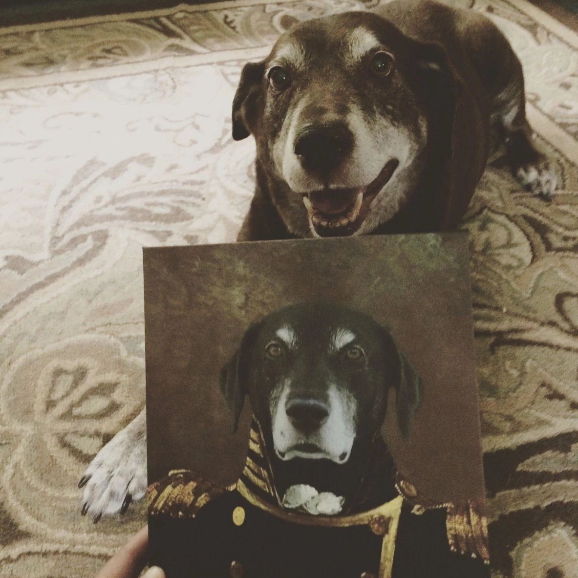 Haustier Portrait von einem Hund im Anzug als Gemälde