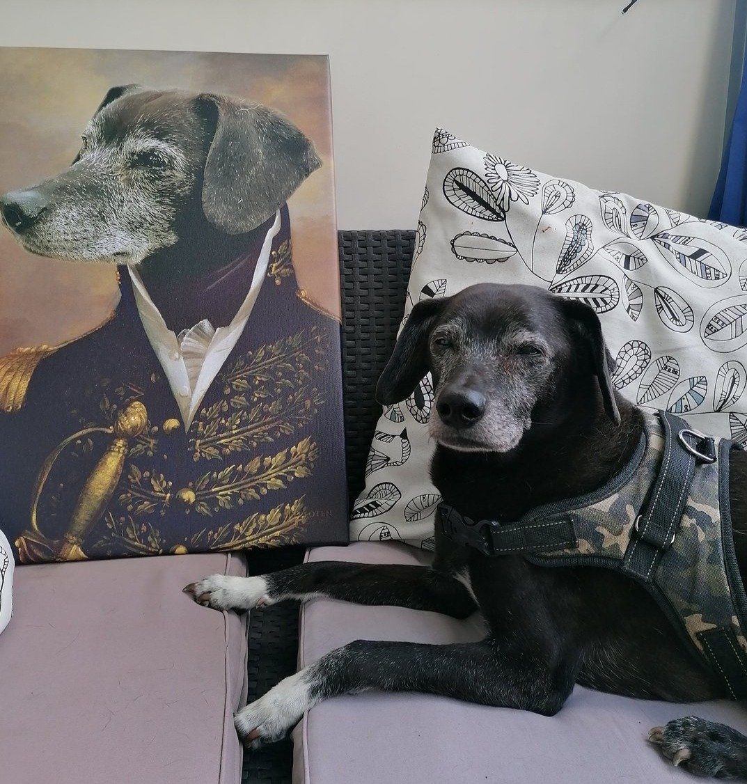 Der Admiral - Porträt auf Leinwand und Holzrahmen