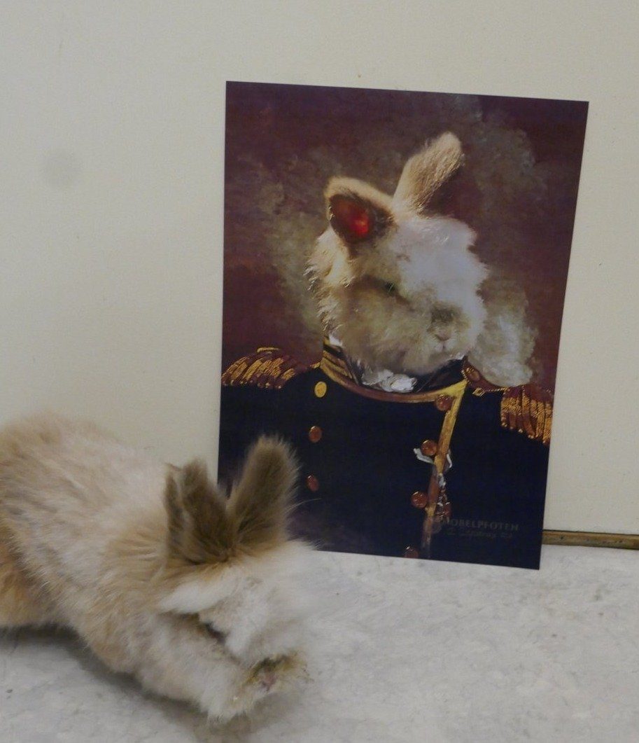 Der Admiral - Porträt auf Leinwand und Holzrahmen